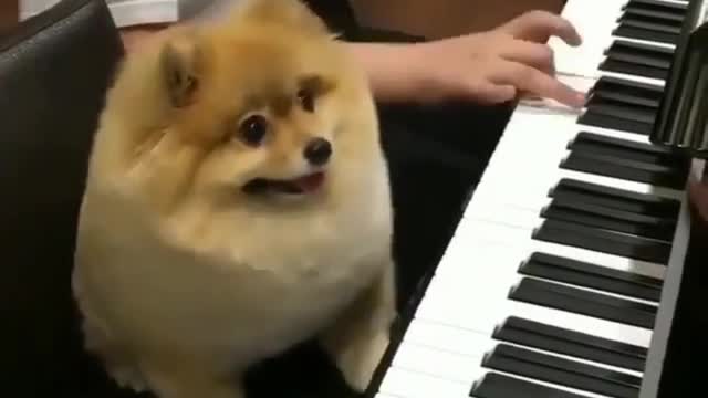 The cooperation is perfect