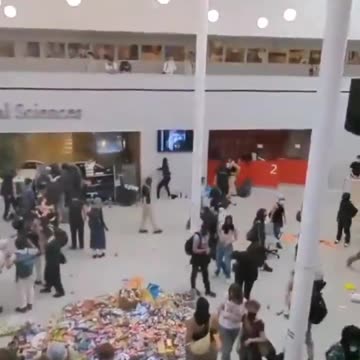 This is always the result of multiculturalism, Amsterdam University