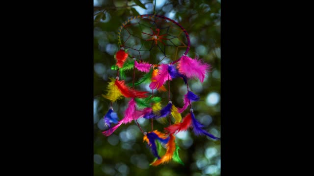 Peaceful & Beautiful Sleep Music for Stress Relief