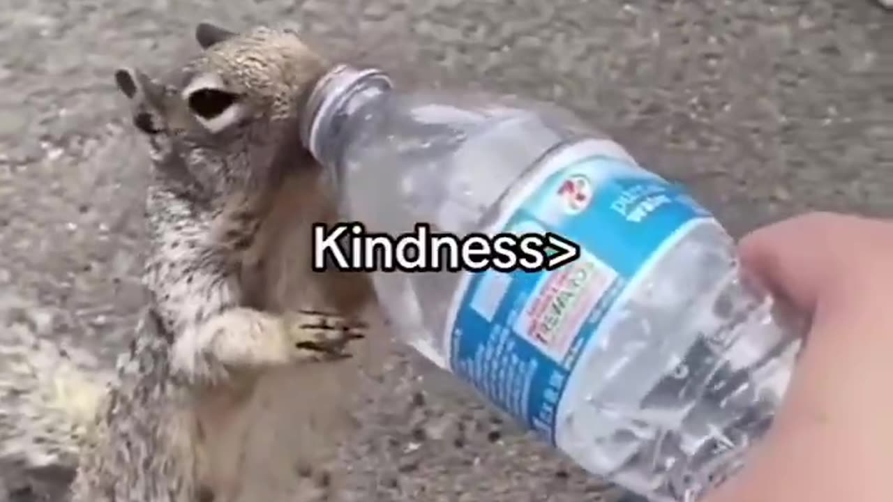 Kindness matters ❤️