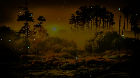 Relaxing Music | Sleeping, Meditation, Stress Relief | [610] ⭐️