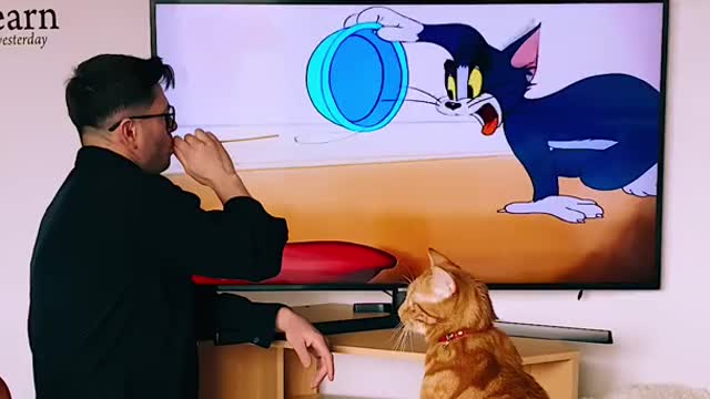 My Cat loves TOM & JERRY #cat #comedy #cute #shorts #youtubeshorts #funny #pets #petsofyoutube