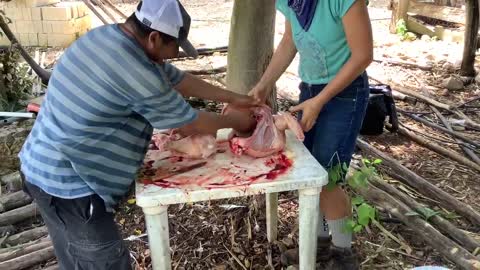 Processing turkeys at my ranch