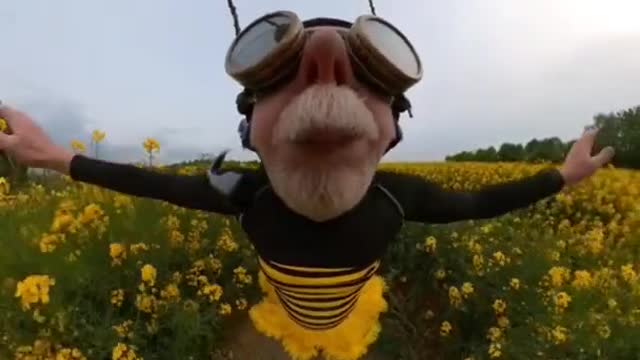 360°grandpa bee