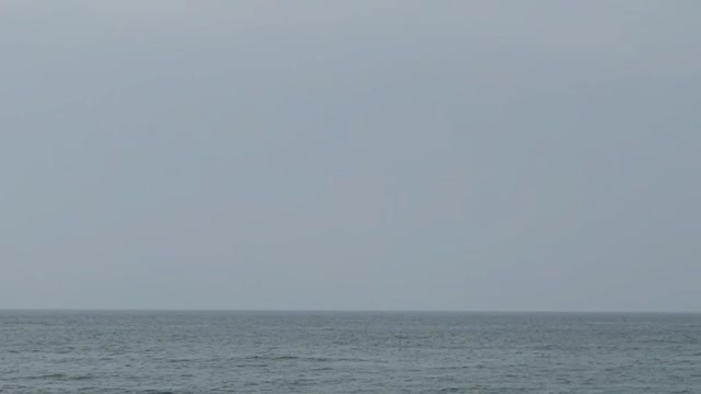 Man surfing in the sea