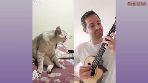 Cute dogs in the world