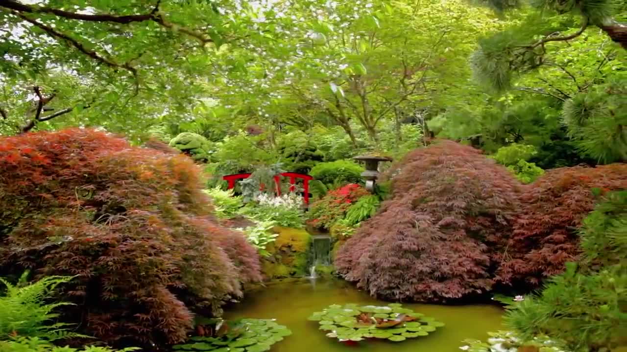 beau paysage
