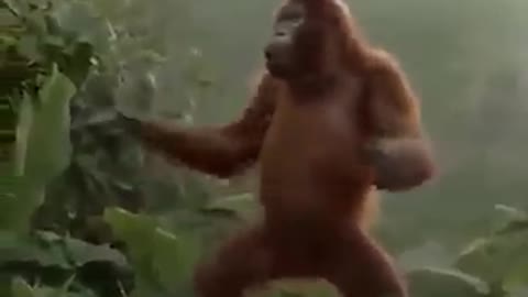 https://youtu.be/aBlODh-1bIY