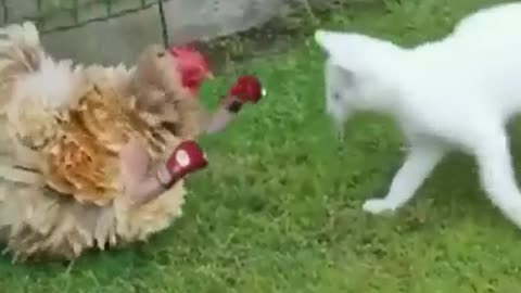 Stop your laughing 🤣