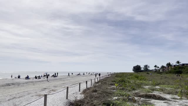 Around the Sanibel beach