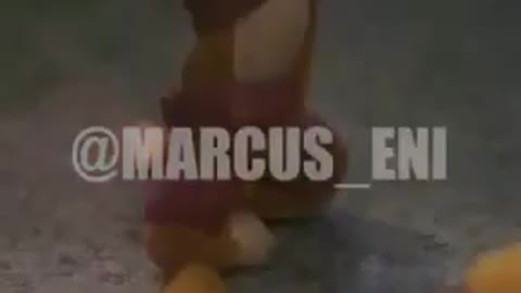 Macaco 🐒 dançando