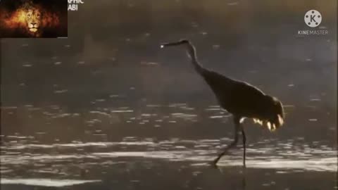 Watch this beautiful &cute bride