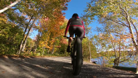 Vélos électriques lévis