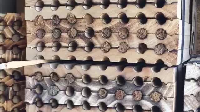 Mason Bee Final House Video