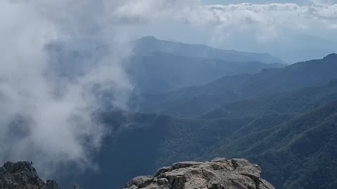 The top of Jiri mountain in south korea.