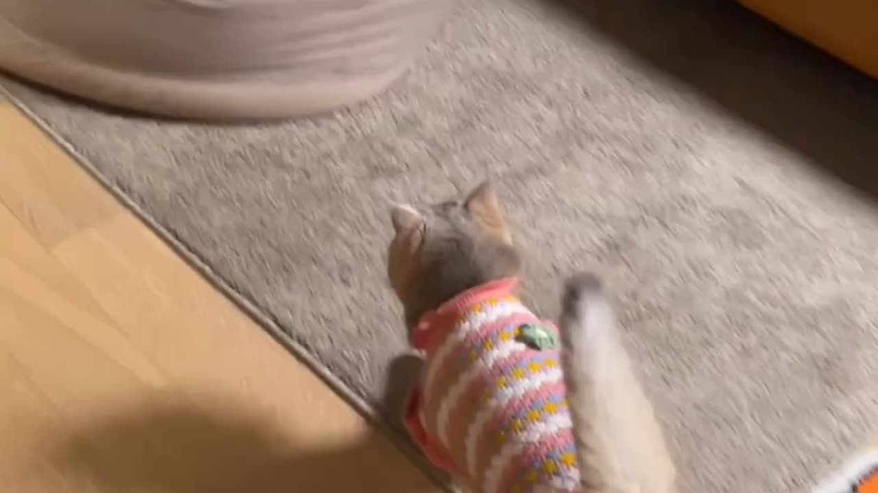 this is how I come home after work