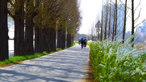 bike racing
