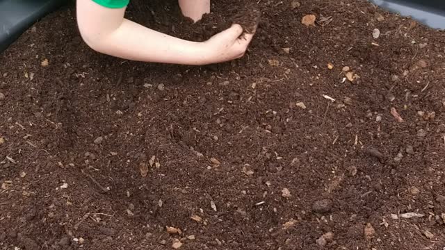 Making a new raised bed for carrots