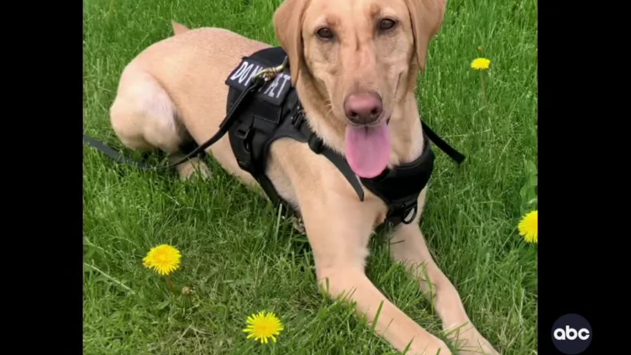 Meet the TSA's 2025 Canine Calendar Stars!