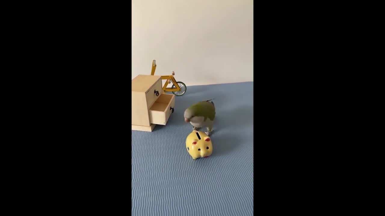 TALENTED CREATURES