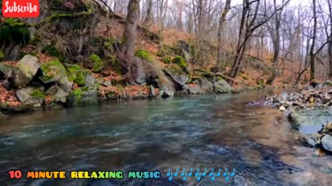 Relaxing Music | Sleeping, Meditation, Stress Relief | [82] ⭐️