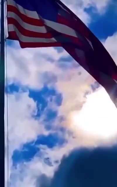 ‘We The People’ are the only ones that can save America! 🇺🇸