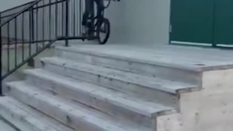 Funny fails viral video