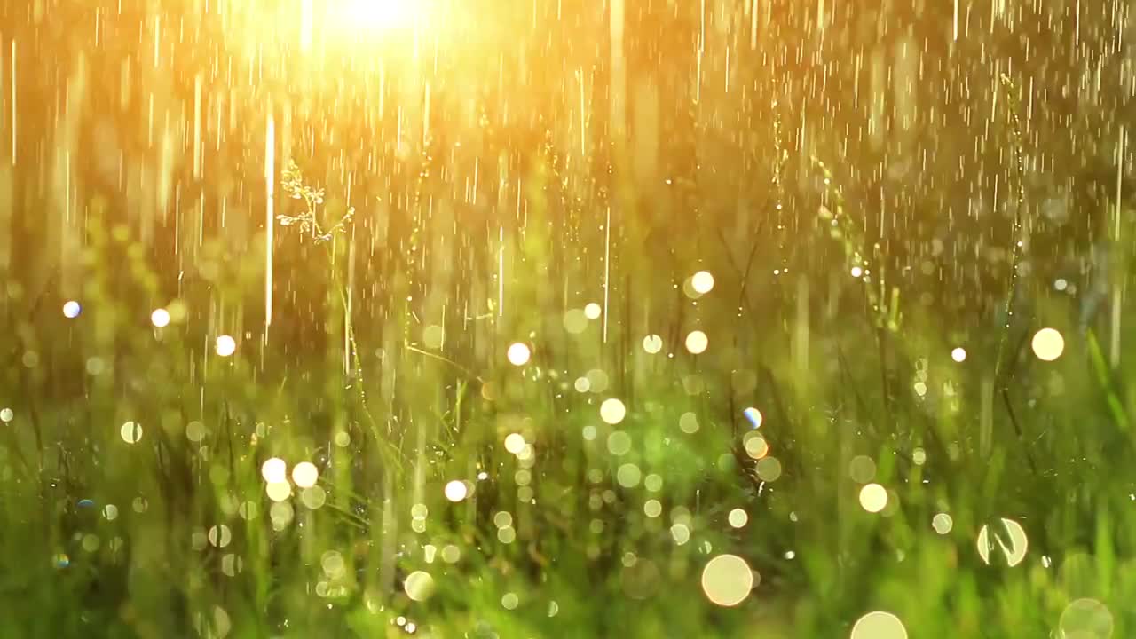 Blurred background of grass and water droplets