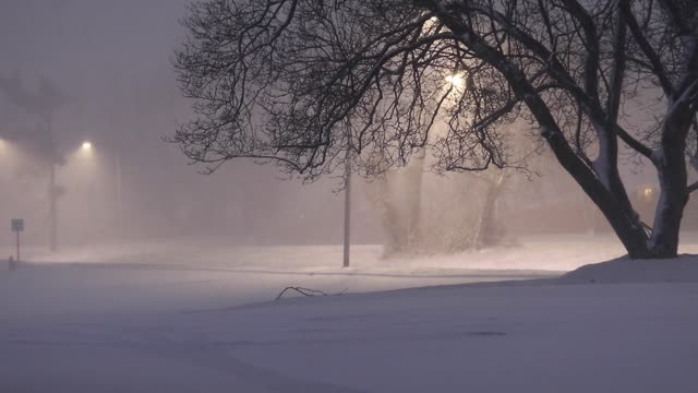 Beautiful snow storm