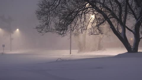 Beautiful snow storm