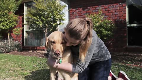 30 Seconds with a Military Working Dog Handler