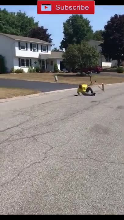 Best Funny Video Clips #shorts (56