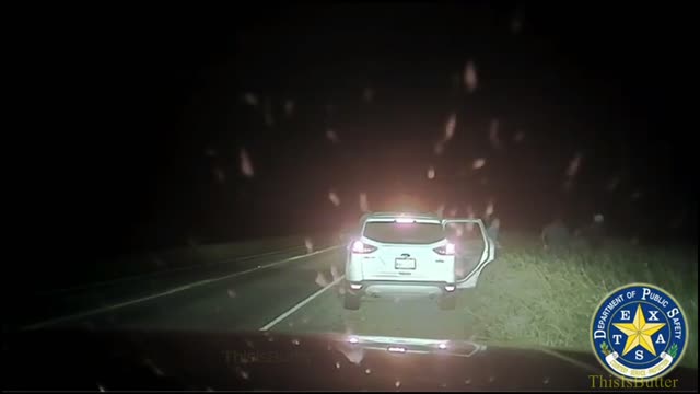 5 illegal immigrants flee from a vehicle during a traffic stop