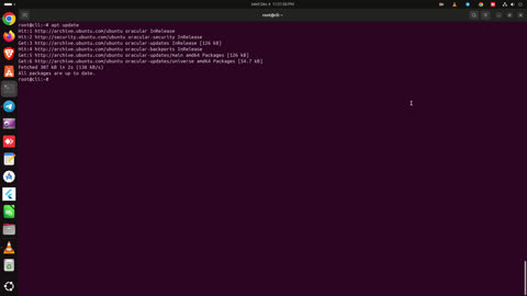 Ubuntu 24.10 LTS Linux Support