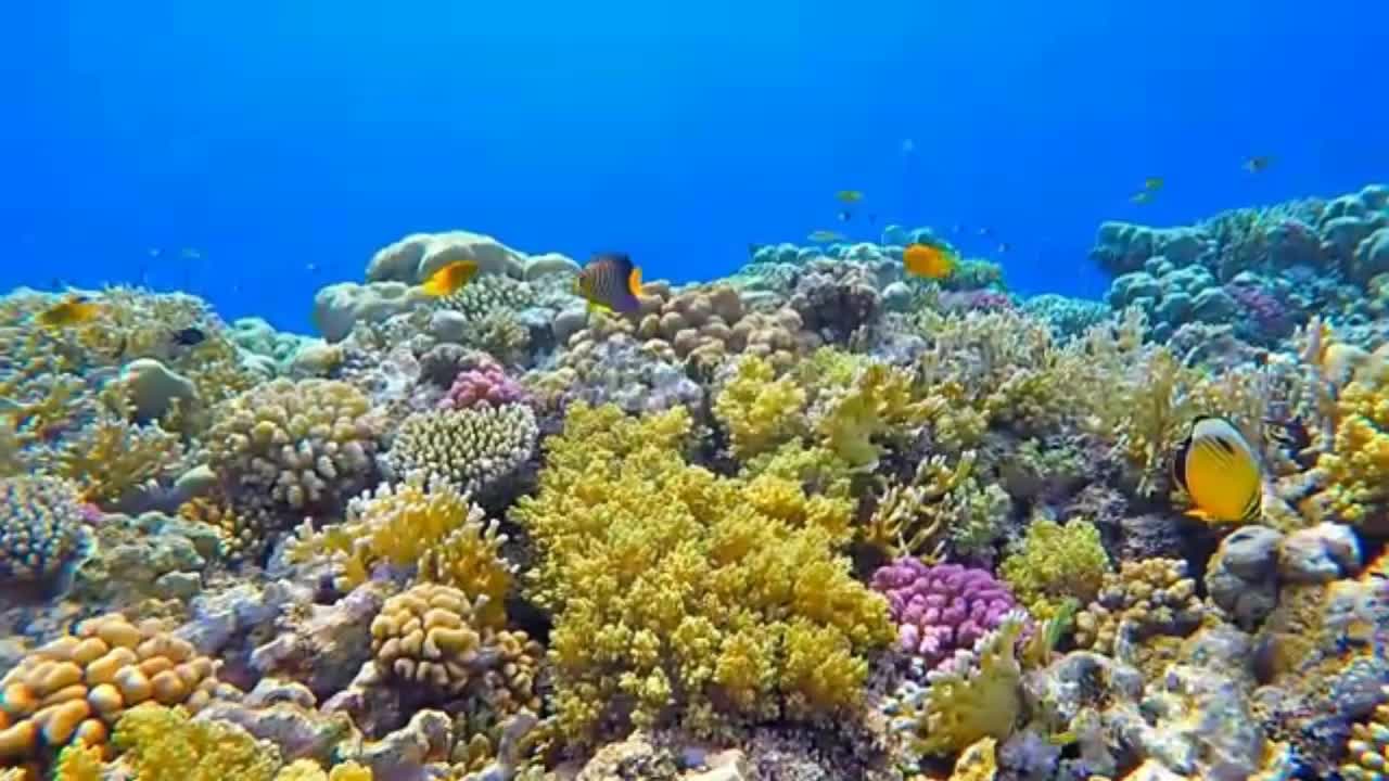 living water in the ocean 2021