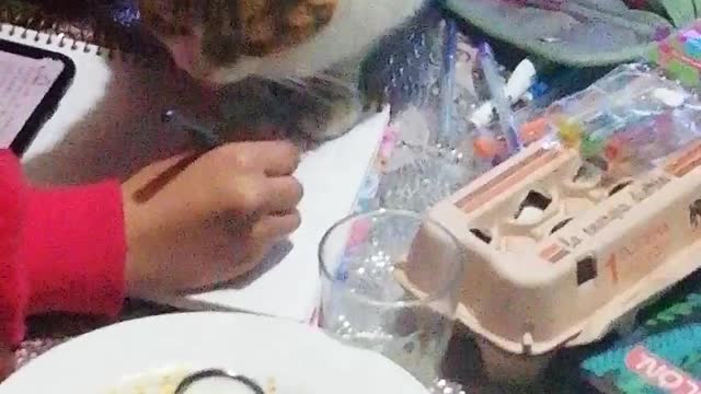 Mi gato impide estudiar a su amo