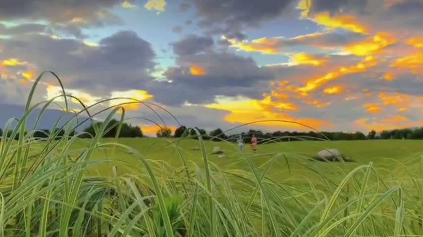 Enjoy the evening breeze
