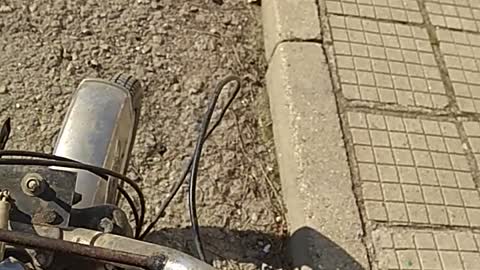 Moeto malko zundapche