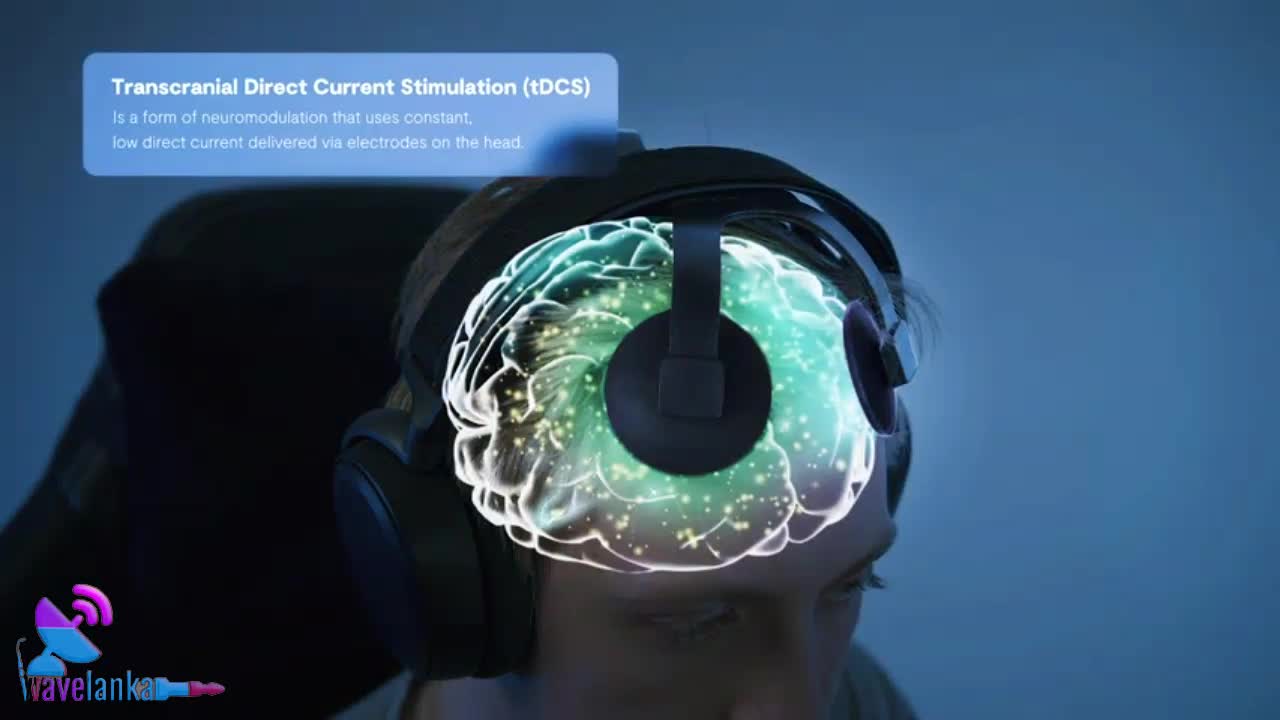 Plato Game Improve Your Gaming Play Like a Pro