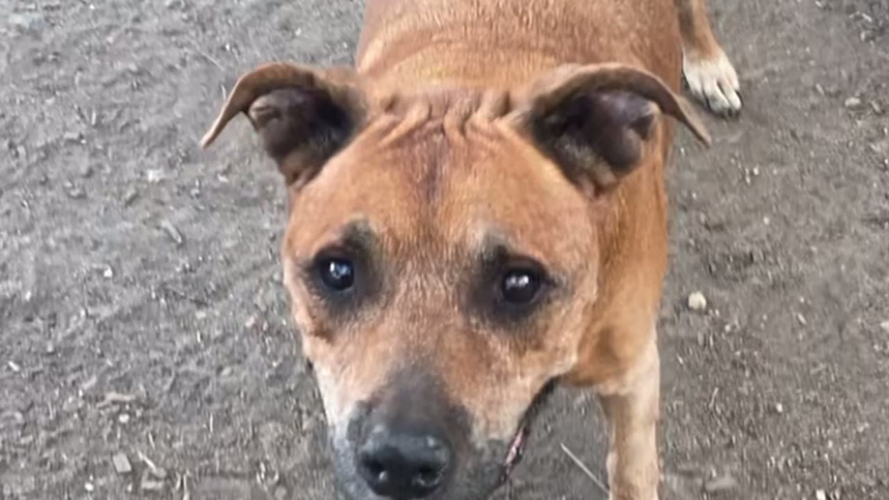 Faq the rep party 2 ☠️