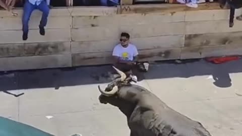 Man Faces Bull with Full Confidence