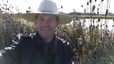 Lots of Wins on Election Day