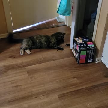 Hank flails away, so tough