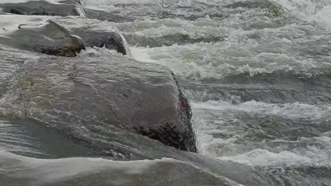 South Korea's Jangheung Jeongnamjin Tamjingang River.