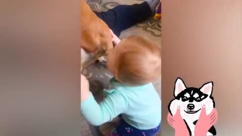 funny baby with dog*