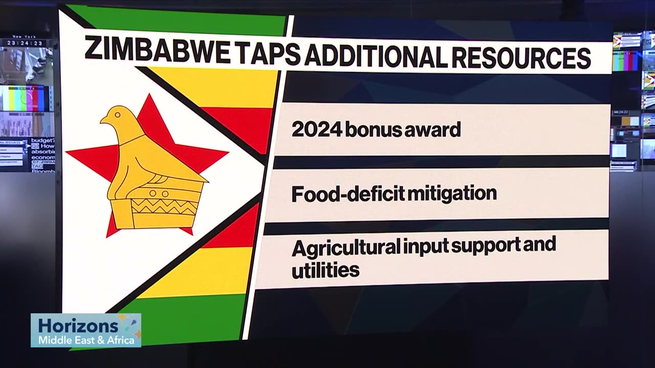 ZiG Drop Forces Zimbabwe Government to Cut Spending Ahead of Budget