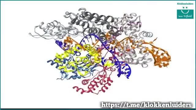 A WEF presentation from 2015 explaining mRNA