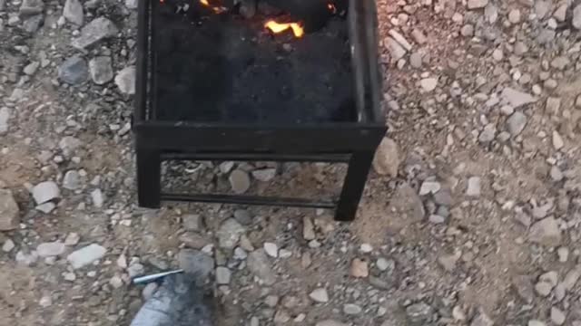 Grill chicken on nature