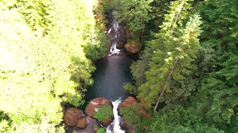 Exploring Upper Hamma Hamma River by Drone.