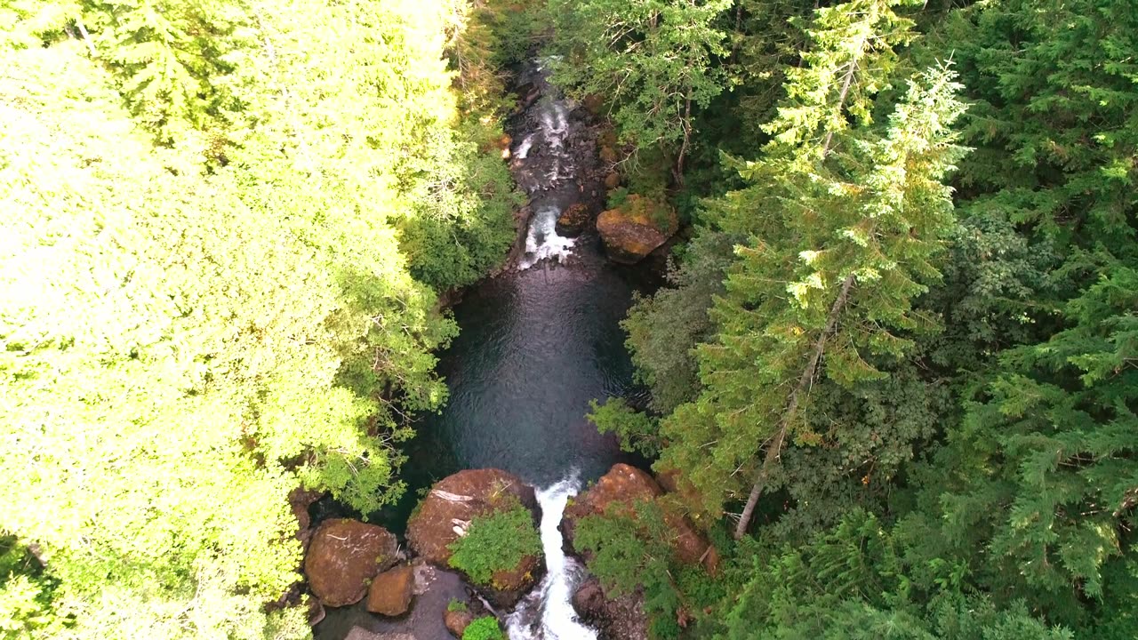 Exploring Upper Hamma Hamma River by Drone.